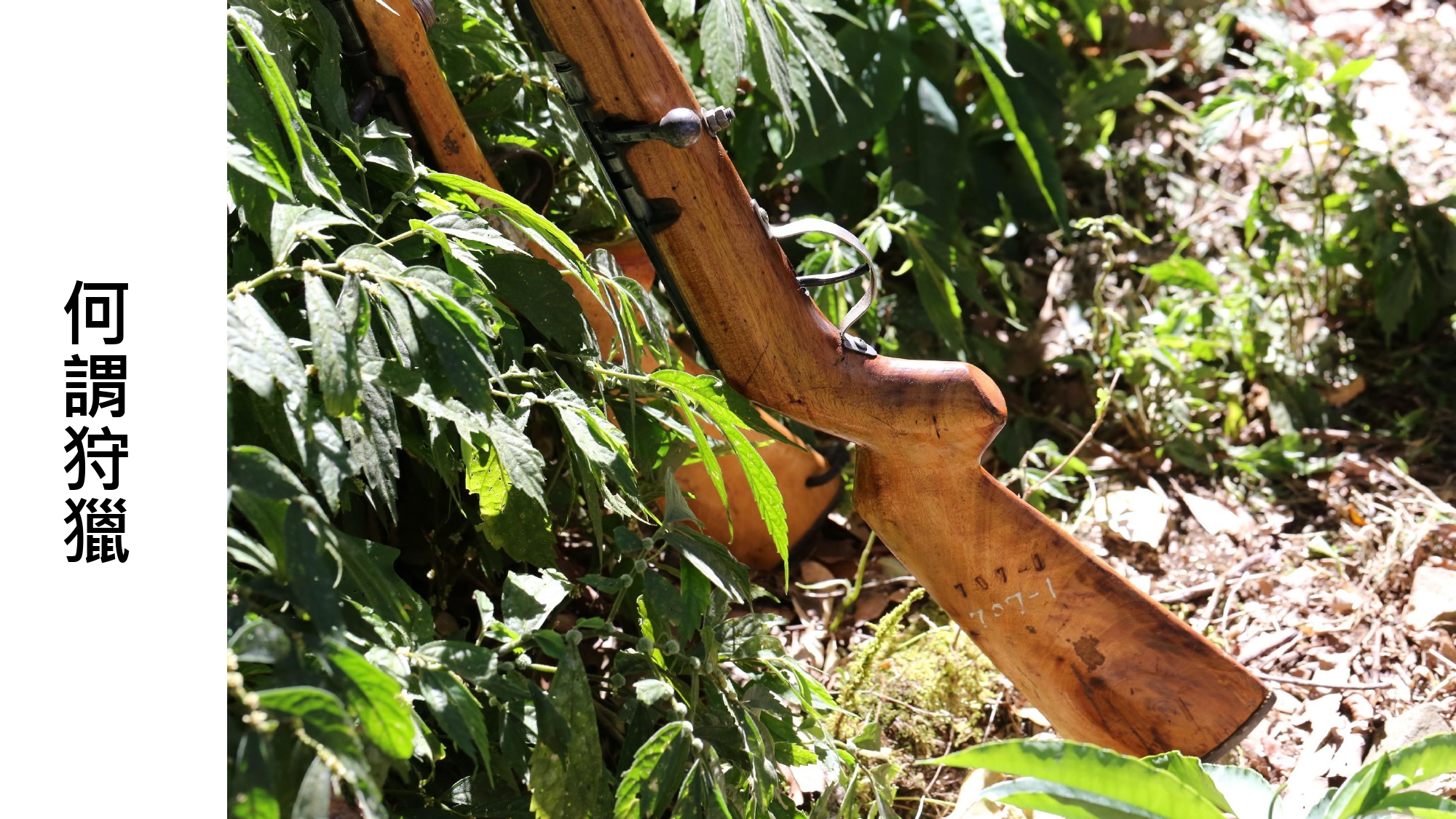 無螫蜂生態導覽